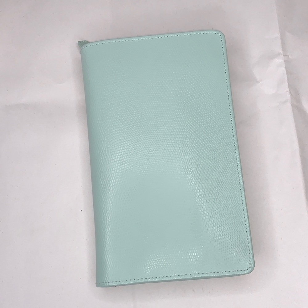 POTTERY BARN x WOLF QUINN TRAVEL JEWELRY Mint Green Leather Wallet NWOT